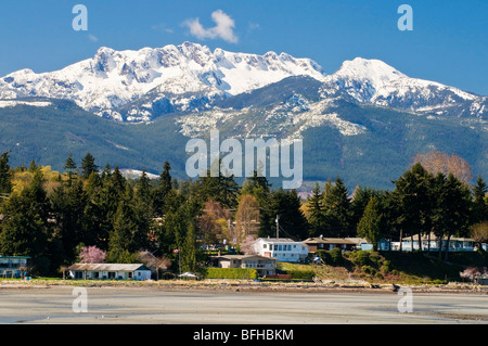 Schneebedeckten Mount Arrowsmith ragt über den Strand von Parksville BC. Stockfoto