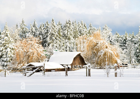 Ein Landhaus im Winter, Central Saanich in der Nähe von Victoria, BC. Stockfoto