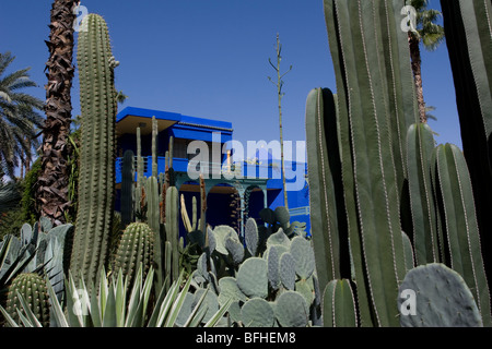 Kakteen vor das Museum für islamische Kunst in den Jardin Majorelle, Marrakesch, Marokko Stockfoto