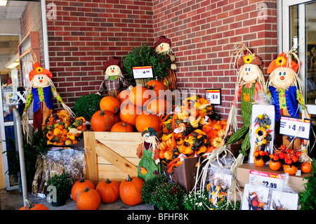 Eine Halloween-Gruppierung von Kürbissen, Vogelscheuchen, Kürbisse und Chrysanthemen für den Verkauf außerhalb eines Supermarktes in Connecticut, USA. Stockfoto