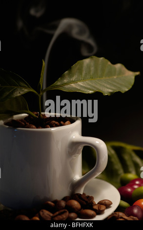 Kaffeebohnen in eine Kaffeetasse mit Blättern und Rauch Stockfoto
