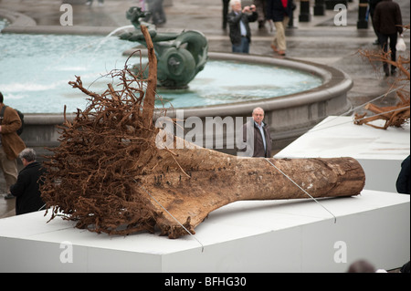 Ghost-Bäume-Ausstellung von Alison Palmer am Trafalgar Square im Zentrum von London Stockfoto