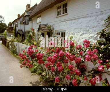 Großbritannien, England, Avebury in Wiltshire, Bauerngarten Stockfoto