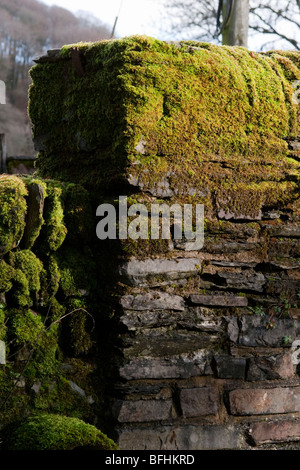 Eine Nahaufnahme Bild einer Steinmauer-Brücke in Moos bedeckt Stockfoto