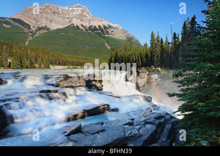 Athabasca Falls stammt aus der Columbia-Gletscher. Stockfoto