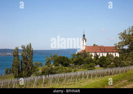 Birnau, Baden-Württemberg, Deutschland, Europa. Barockkirche und Weinbergen hängen am See am Bodensee (Bodensee) Stockfoto