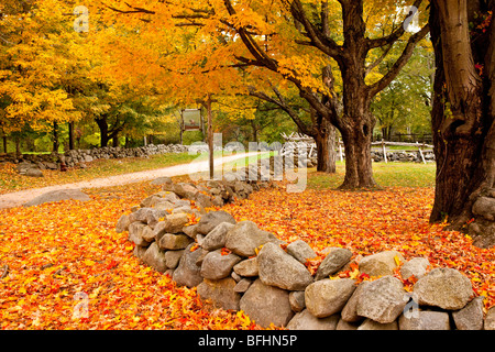 Herbst Sicht auf die berühmte Schlacht Straße zwischen Lexington und Concord - Lincoln Massachusetts, USA Stockfoto
