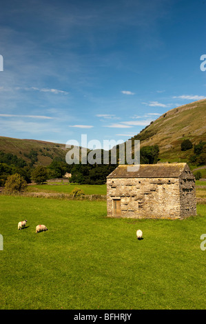 Traditionellen Bereich Scheune in der Nähe von Muker im Swaledale, North Yorkshire Stockfoto