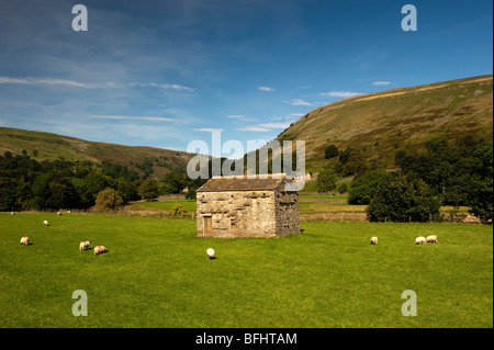 Traditionellen Bereich Scheune in der Nähe von Muker im Swaledale, North Yorkshire Stockfoto