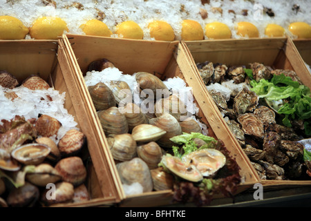 Muscheln auf dem Display im Eis vor einem Restaurant in Brüssel Stockfoto
