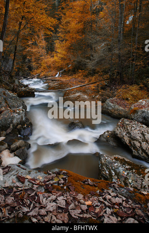 Herbstlandschaft mit dem Fluss von oben, lange Belichtung, weich fließendes Wasser, flüssige Laufphotographie, vertikal in den USA, US-Hi-Res Stockfoto