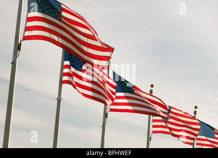Amerikanische Flaggen fliegen, Washington DC, USA Stockfoto