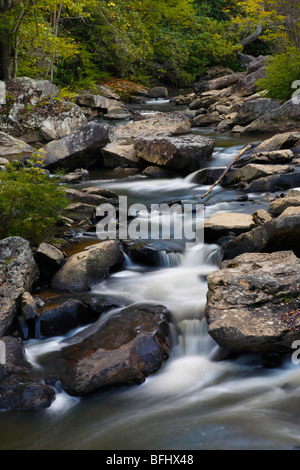 Glade Creek Babcock im State Park West Virginia W V Langzeitbelichtung sanft fließendes Wasser von oben flüssiger Lauf Verkauf auf Alamy vertikal in USA US hochauflösend Stockfoto