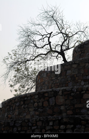 Architecure Details unter Qutab Minar-Komplex, New Delhi, Indien. Stockfoto