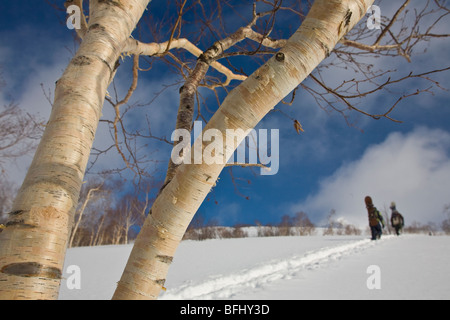 Snowboarder Wandern im Hinterland, Niseko, Japan Stockfoto