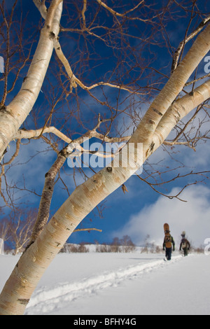 Snowboarder Wandern im Hinterland, Niseko, Japan Stockfoto