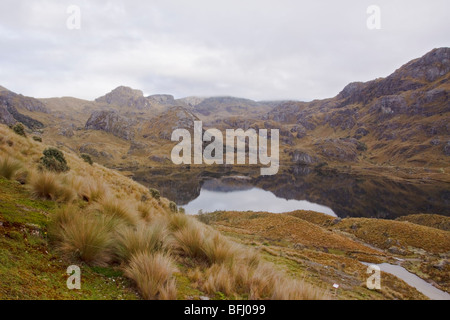 Eine malerische Aussicht von Cajas Nationalpark in der Nähe von Cuenca, Ecuador. Stockfoto