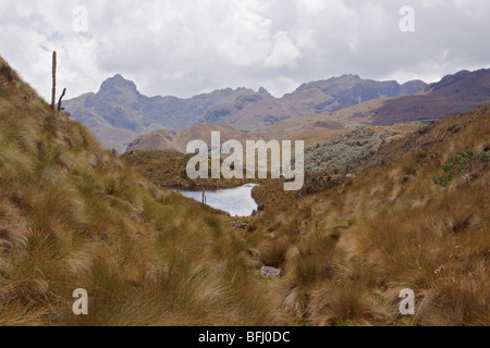 Eine malerische Aussicht von Cajas Nationalpark in der Nähe von Cuenca, Ecuador. Stockfoto