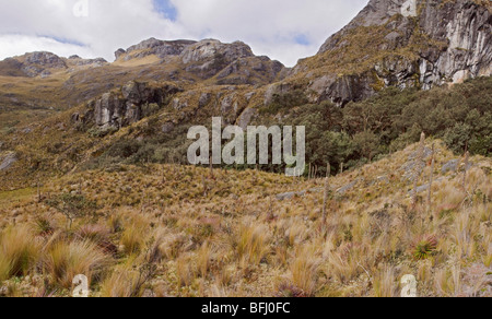 Eine malerische Aussicht von Cajas Nationalpark in der Nähe von Cuenca, Ecuador. Stockfoto