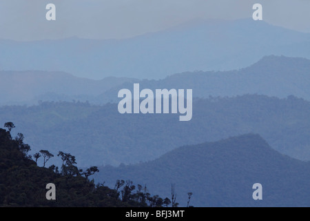 Eine malerische Aussicht auf den Nebelwald aus der Tapichalaca-Reserve im Südosten Ecuadors. Stockfoto