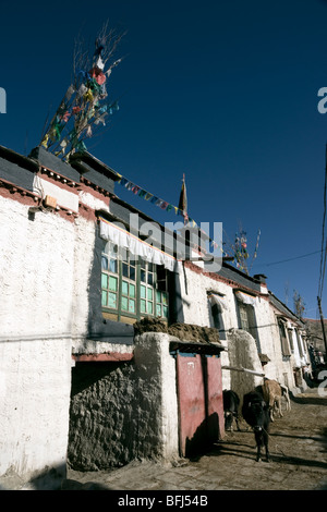 die alten traditionellen tibetischen Dorf in Gyantse tibet Stockfoto