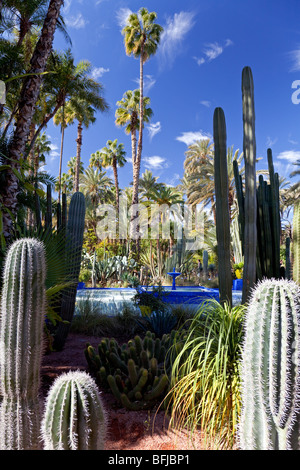 Der Majorelle Garten, Gueliz, Marrakesch, Marokko Stockfoto