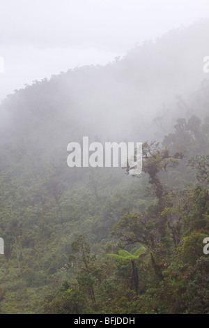 Eine malerische Aussicht auf den Nebelwald aus der Tapichalaca-Reserve im Südosten Ecuadors. Stockfoto