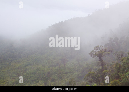 Eine malerische Aussicht auf den Nebelwald aus der Tapichalaca-Reserve im Südosten Ecuadors. Stockfoto