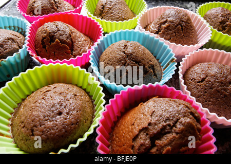 Frisch gebackene Schokoladen Cupcakes. Stockfoto