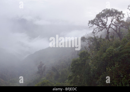 Eine malerische Aussicht auf den Nebelwald aus der Tapichalaca-Reserve im Südosten Ecuadors. Stockfoto