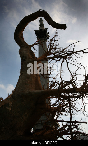 "Gespensterwald" Installation, Trafalgar Square Künstlerin Angela Palmer, Stockfoto