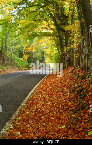 Herbstlandschaft entlang Chinnor Road, Bledlow Ridge, Buckinghamshire, Großbritannien Stockfoto