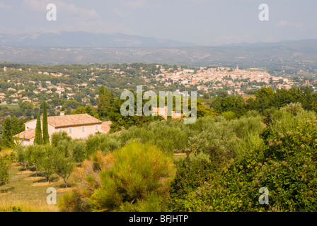 Landschaft mit Olivenbäumen in La Cadiere Var Region Südfrankreich Stockfoto