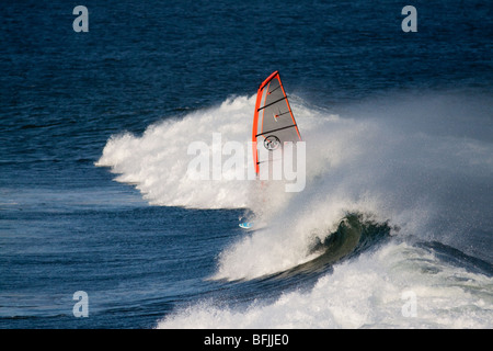 Windsurfen in Baja Stockfoto