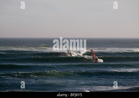 Windsurfen in Baja Stockfoto