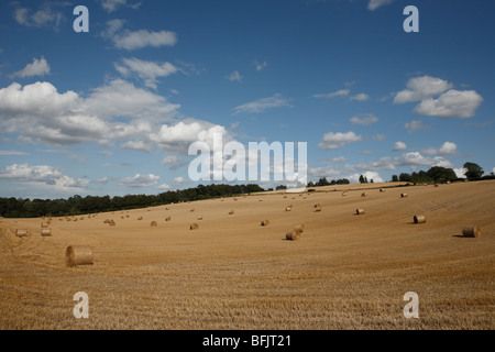 Heuballen im Feld Stockfoto