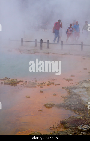 Champagne Pool Dampf in Rotorua Neuseeland Stockfoto