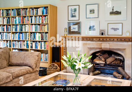 Moderne zeitgenössische stilvolles Wohnzimmer mit Kamin und Bücherregale Stockfoto