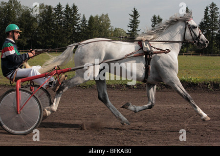 Kabelbaum Trotter Pferderennen Veranstaltung in Russland Stockfoto