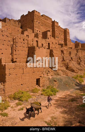 AGDZ, Marokko - Boy und Esel am Tamnougalt Kasbah im Atlas-Gebirge. Stockfoto