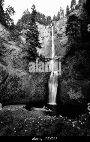 Multnomah Falls in der Columbia River Gorge, Oregon, USA Stockfoto