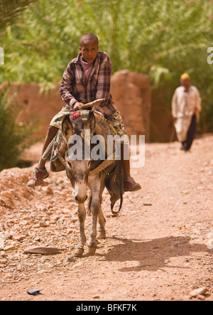 AGDZ, Marokko - Boy auf Esel am Tamnougalt Kasbah im Atlas-Gebirge. Stockfoto