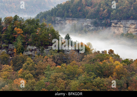 Ansicht der Herbst Farbe an Teufels Canyon Overlook in Red River Gorge, Kentucky Stockfoto