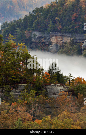 Ansicht der Herbst Farbe an Teufels Canyon Overlook in Red River Gorge, Kentucky Stockfoto