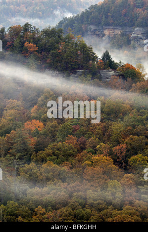 Ansicht der Herbst Farbe an Teufels Canyon Overlook in Red River Gorge, Kentucky Stockfoto