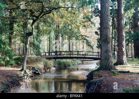 schwache Brücke 7,5-Tonnen Gewicht Grenze Herbst in der neuen Gesamtstruktur Hampshire England uk gb Stockfoto