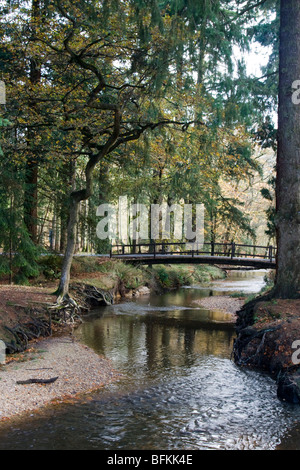 schwache Brücke 7,5-Tonnen Gewicht Grenze Herbst in der neuen Gesamtstruktur Hampshire England uk gb Stockfoto