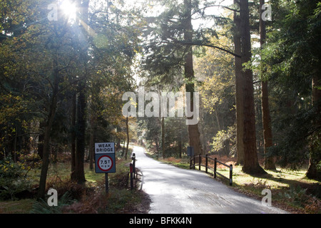 schwache Brücke 7,5-Tonnen Gewicht Grenze Herbst in der neuen Gesamtstruktur Hampshire England uk gb Stockfoto