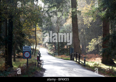 schwache Brücke 7,5-Tonnen Gewicht Grenze Herbst in der neuen Gesamtstruktur Hampshire England uk gb Stockfoto