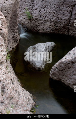 Aravaipa Canyon Wilderness - Pool zwischen den Felsen mit Boulder - Arizona - USA Stockfoto